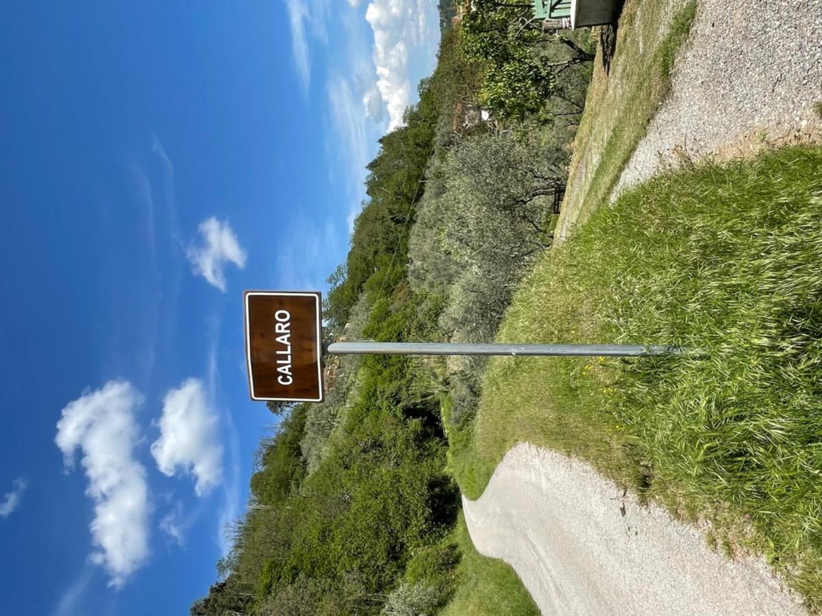 Shaleo Holiday Home Marliana Exteriör bild