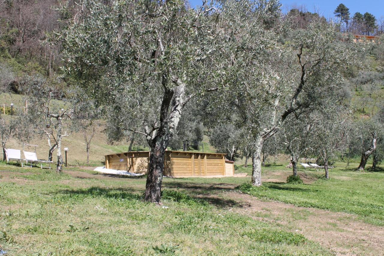 Shaleo Holiday Home Marliana Exteriör bild